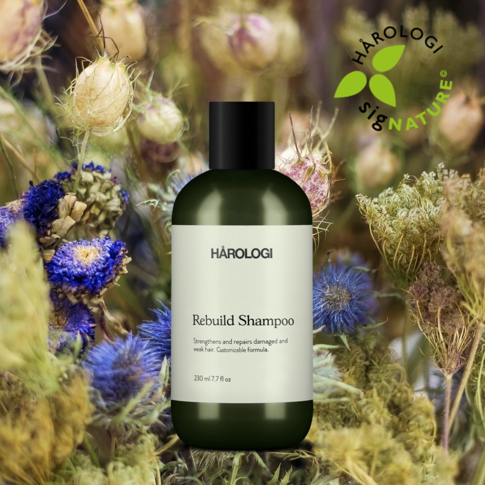 Rebuild Shampoo 230ml Harologi 1.jpeg