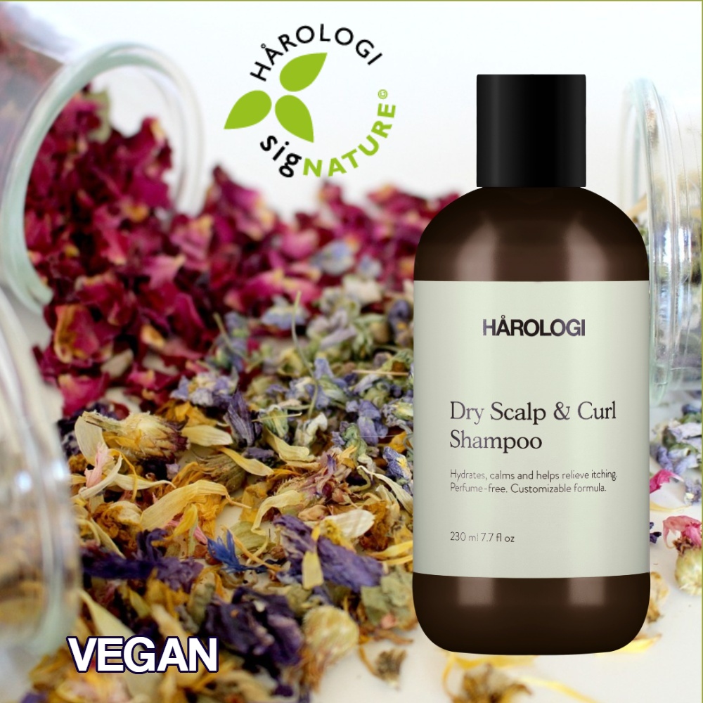 Dry Scalp Curl Shampoo 250ml Harologi 1.jpeg