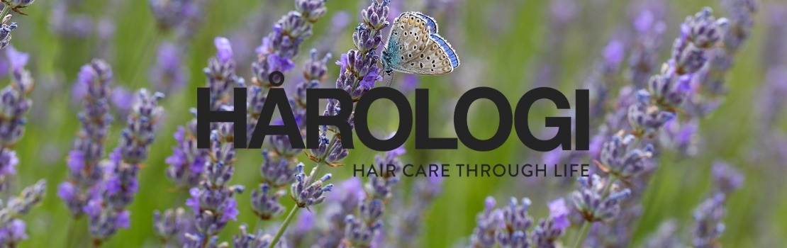 Harologi header 3 1110x350pix