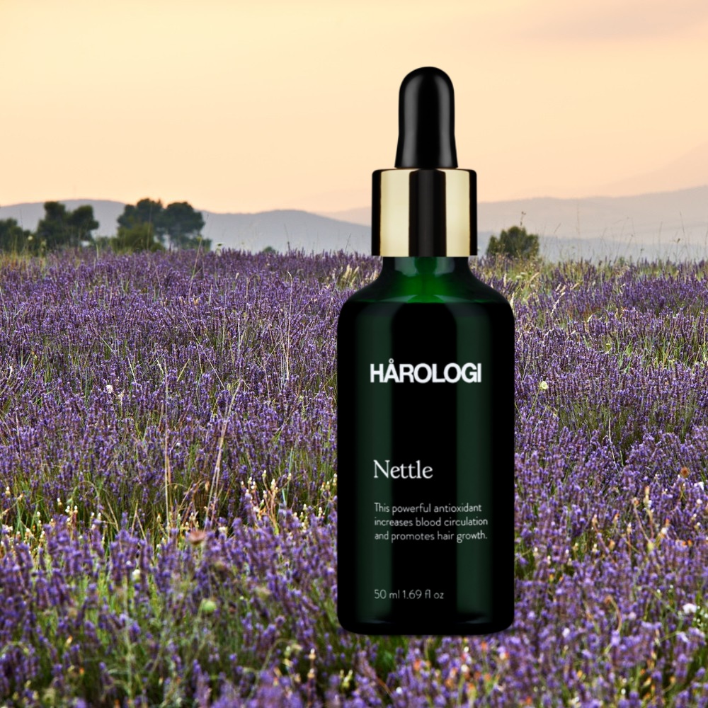 Nettle 50ml Harologi 1