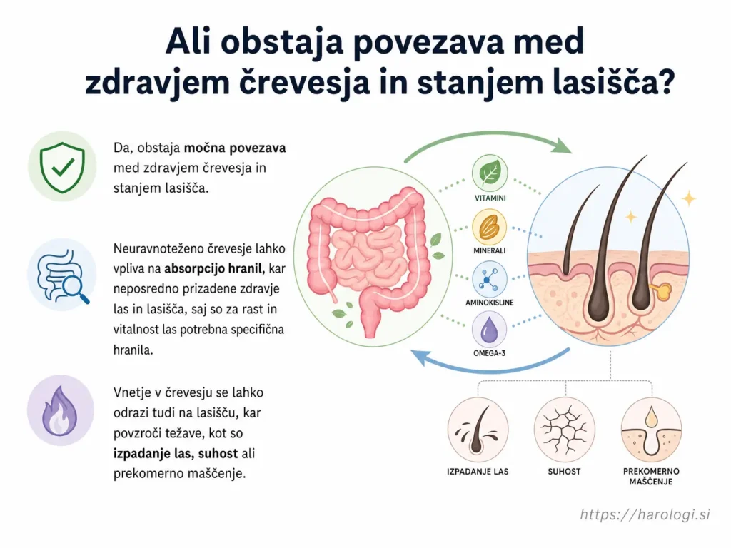90. Ali obstaja povezava med zdravjem črevesja in stanjem lasišča snipet